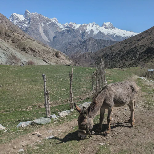 Nomadistan circuit photo